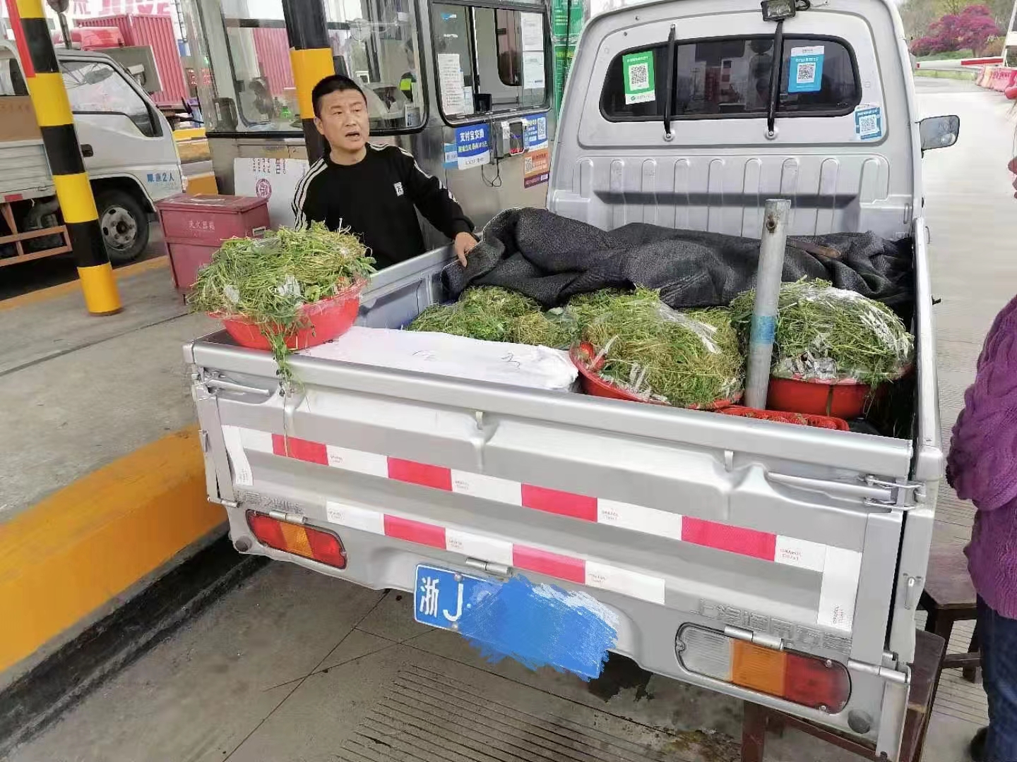 照片陳彬拍攝.jpg